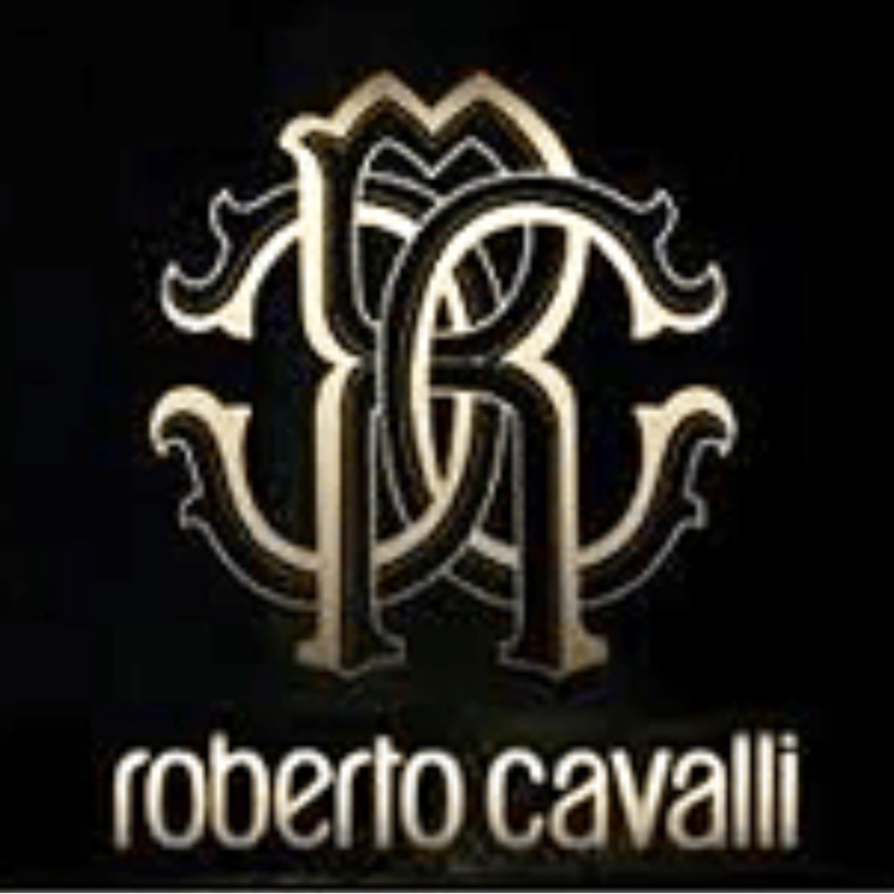 Roberto Cavalli silk cashmere rectangular scarf /shawl  26" x 70" NWOT - Picture 7 of 8